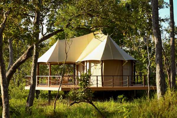 Special Interest Tours